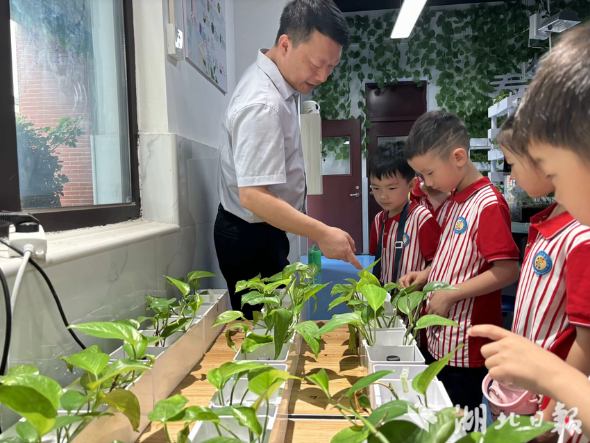嘉鱼县实验幼儿园孙云朝报道文稿.doc