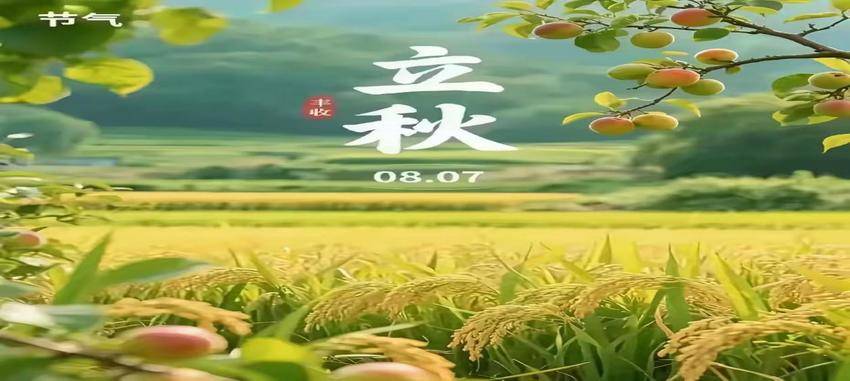 与秋相拥：在温柔诗意中感悟生命之韵.docx