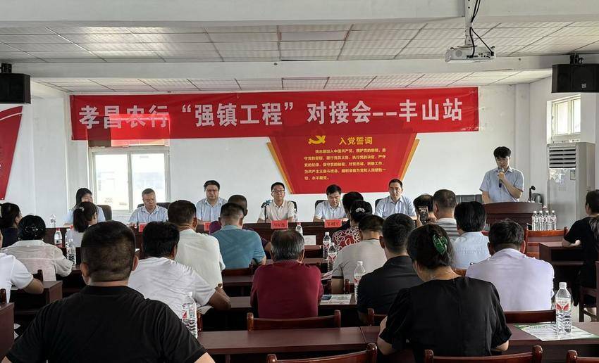 孝感农行金融助力“三强”工程·政银企对接会—孝昌丰山站.docx