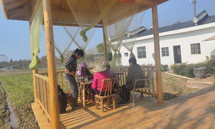 安陆市木梓乡金港村：本草茶饮飘香 农文旅融合添“健康味”.docx