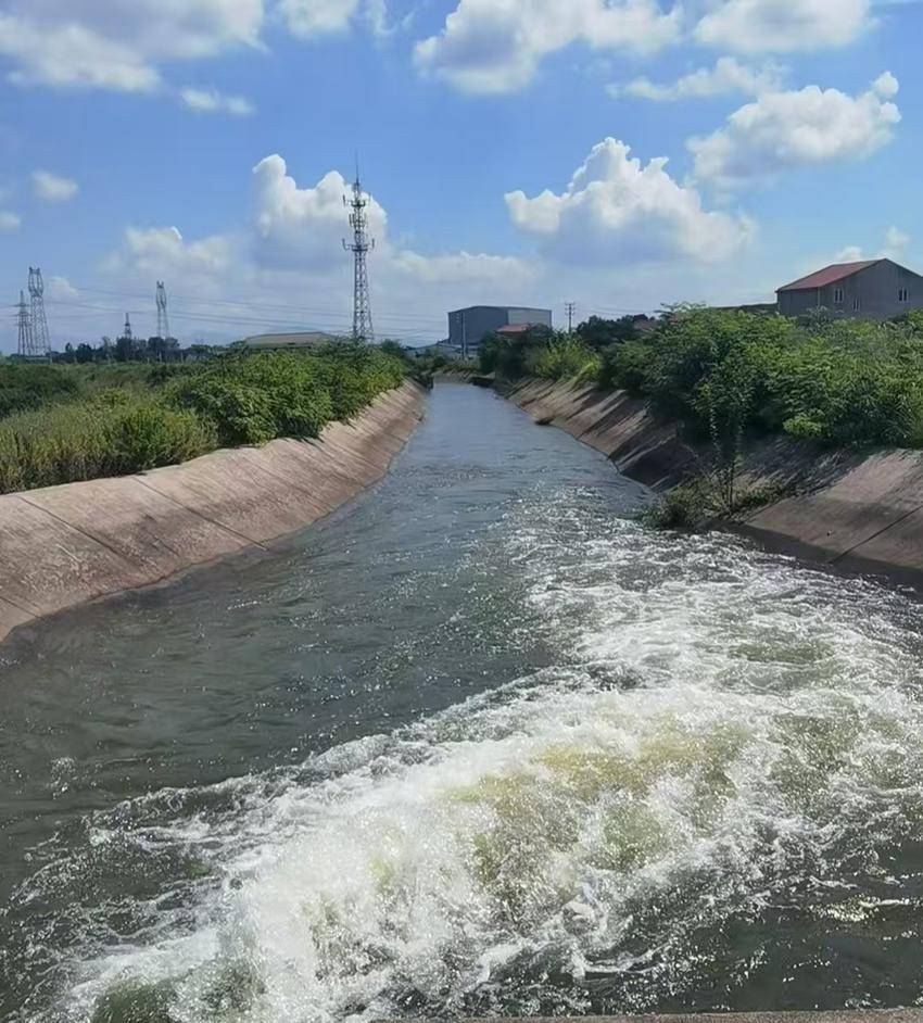 抗大旱、保民生！孝南以“水文章”守护田间希望(2).docx