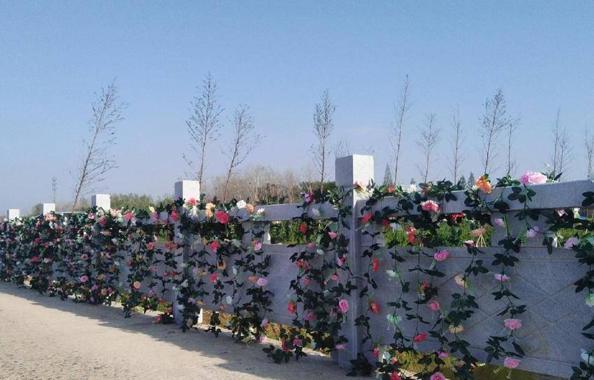 花漾三伏潭 富硒花海漫春光.docx