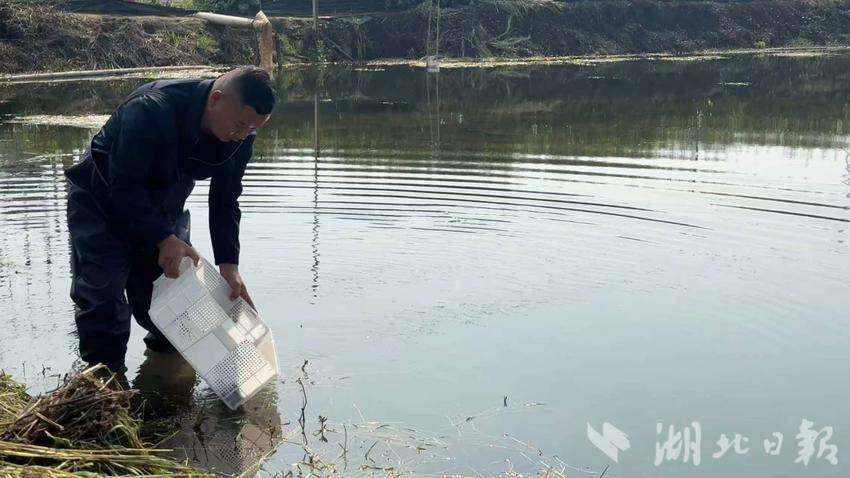 四望镇水上春耕忙.doc