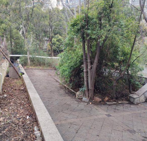 昔日死角变休闲佳地 三方联动绘就社区宜居新图景20260325.docx