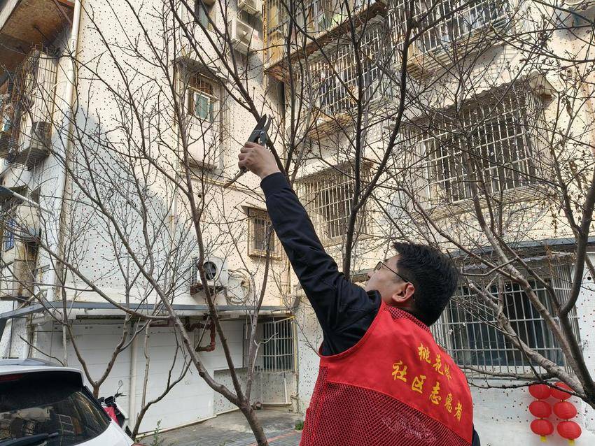 20260312植此青绿护家园 春意盎然满桃花.docx