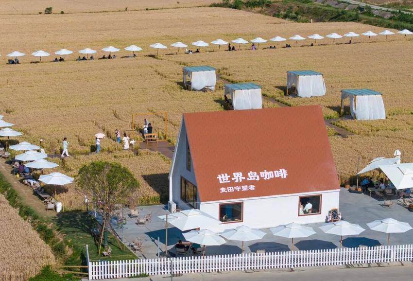 返乡创业正当时 从“咖味”到“咖位”(1)(1).doc