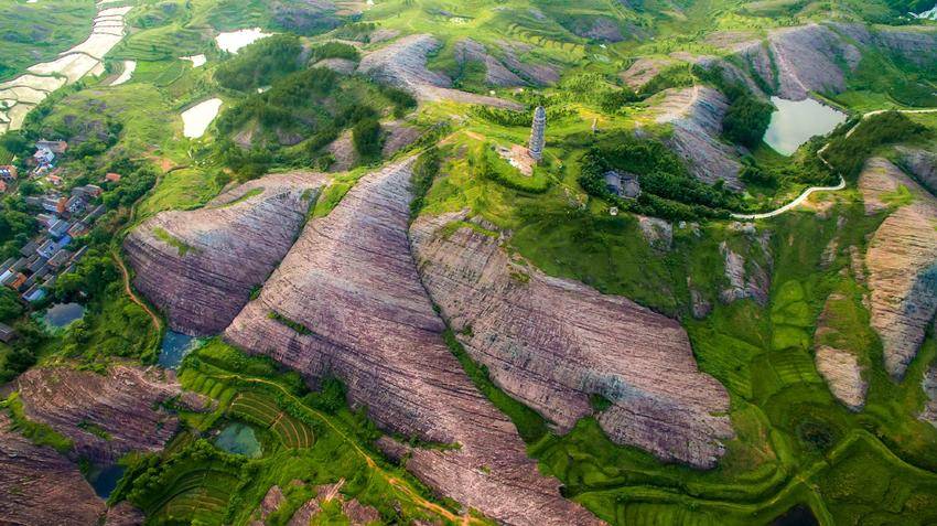 3-16 龟峰鹃红漫青山 一脉非遗耀古今.docx