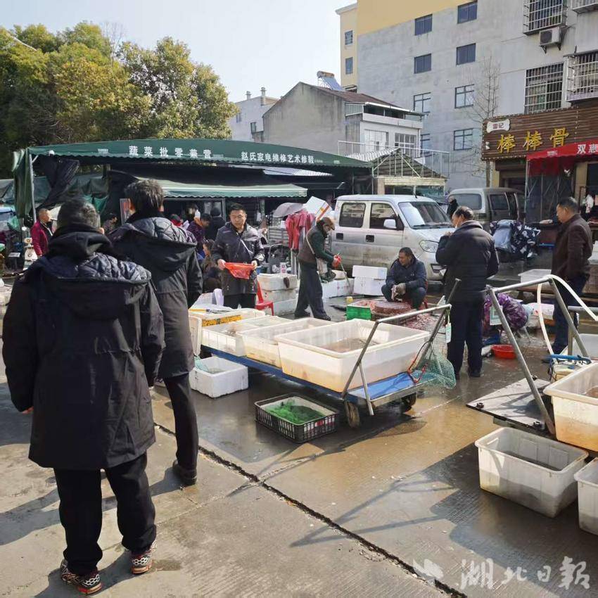 扮靓市容迎新春 洁净村湾暖归途.docx