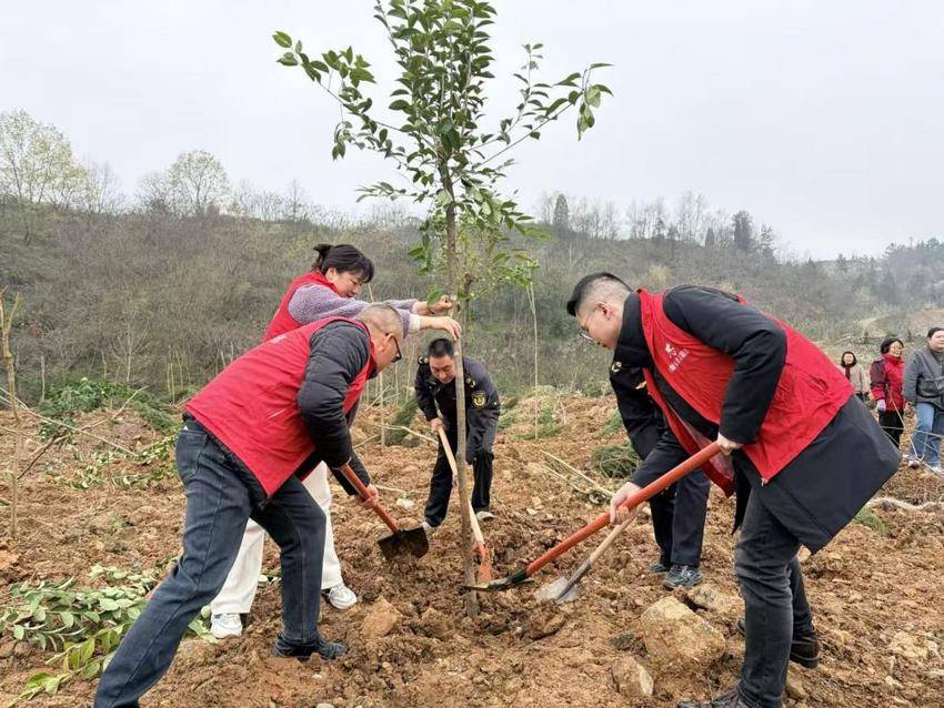 武当山特区开展春季义务植树活动(1).docx