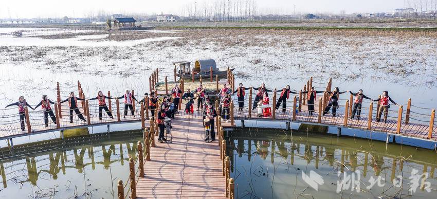 嘉鱼湖地野藕游客鼓乐齐鸣迎新春(1).doc