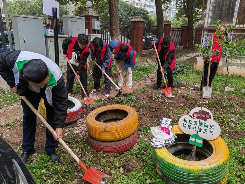 志愿者们整理小区共享花园。