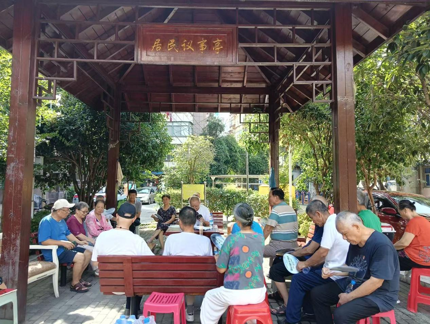 党员们在武印二村凉亭开展微党课学习。