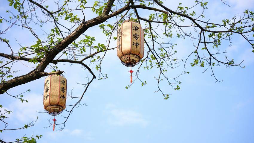 【图文】宜昌长阳：工学结合赋能乡村振兴 茶旅融合激活产业动能.doc