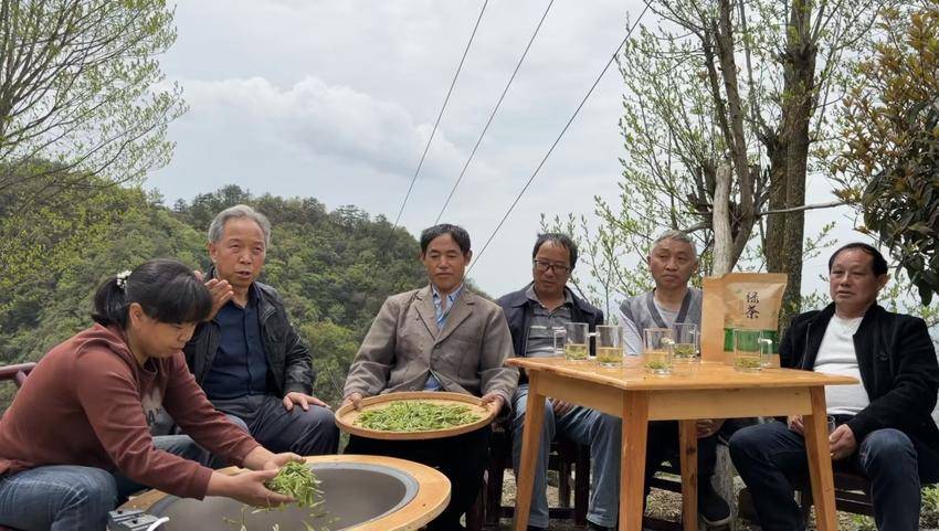 高级农艺师覃发师现场教授炒茶工艺
