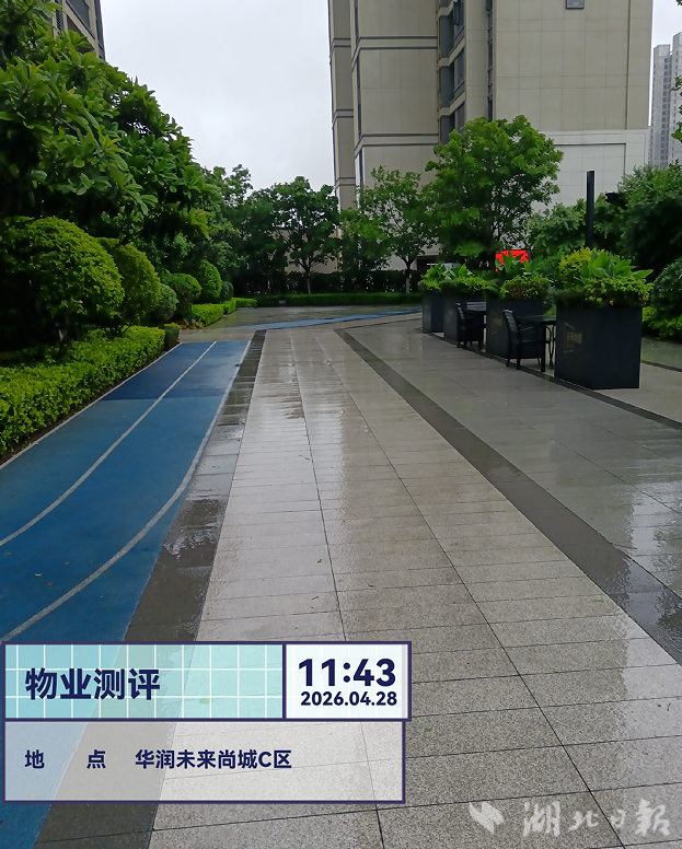 2026年第四期物业项目红黑榜报送信息.docx