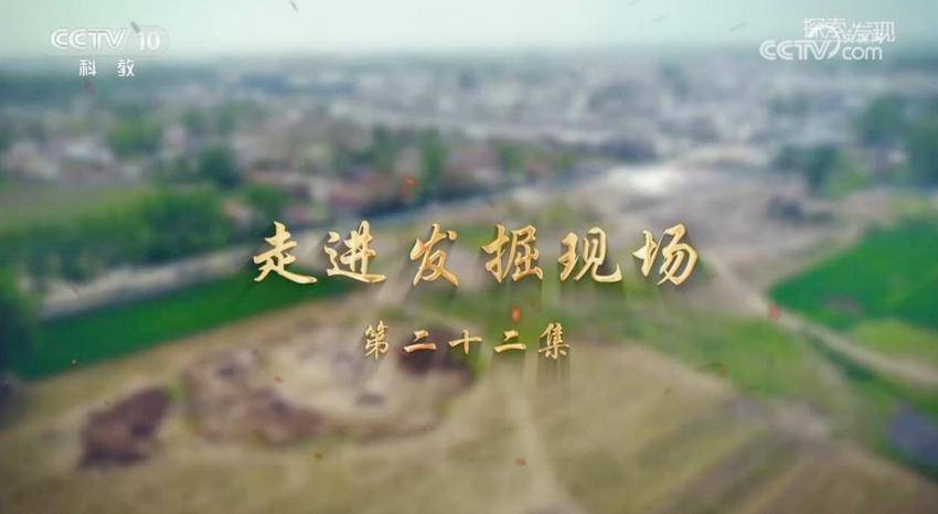 再登央视！《走进发掘现场》聚焦天门石家河遗址.docx