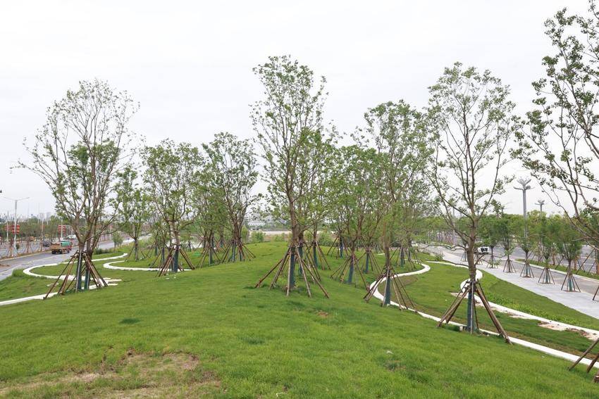 藏不住了！这条绿廊太治愈.docx
