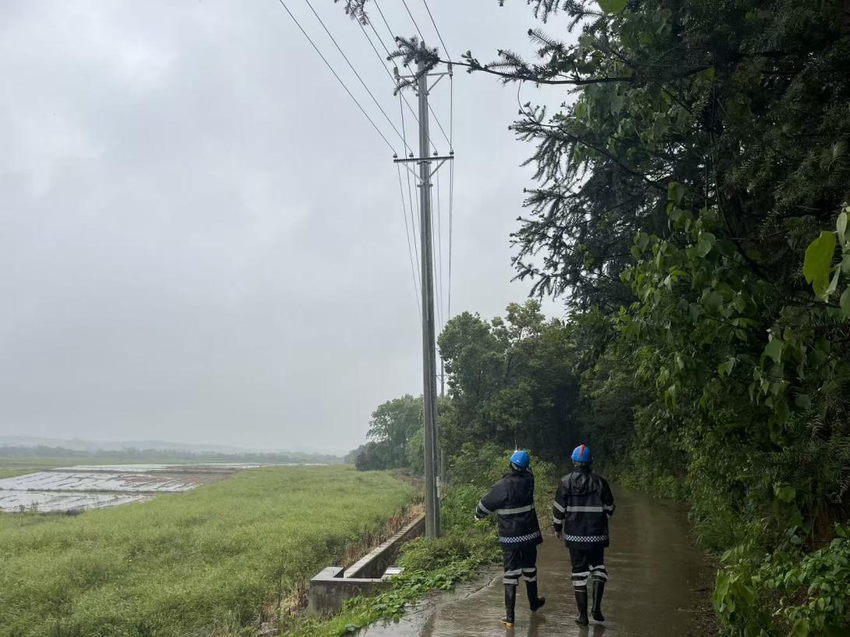 雨中特巡保供电 护航江夏乡村游持续升温