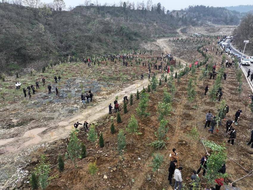 武当山特区开展春季义务植树活动(1).docx