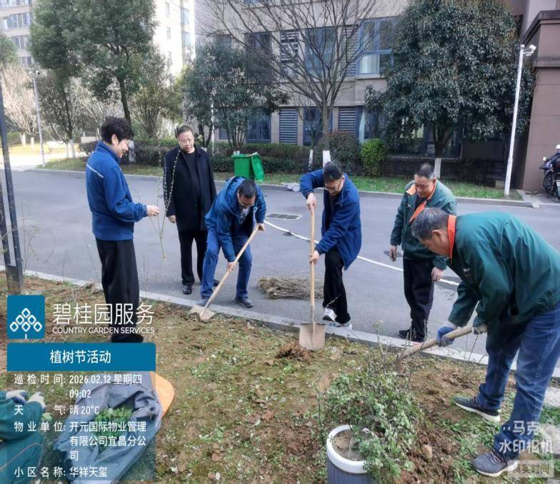 3.17植树添绿·美化家园 ——营盘路社区开展植树节主题活动.docx