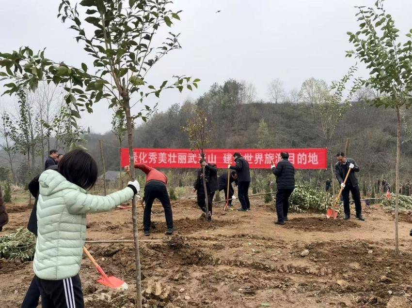 武当山特区开展春季义务植树活动(1).docx