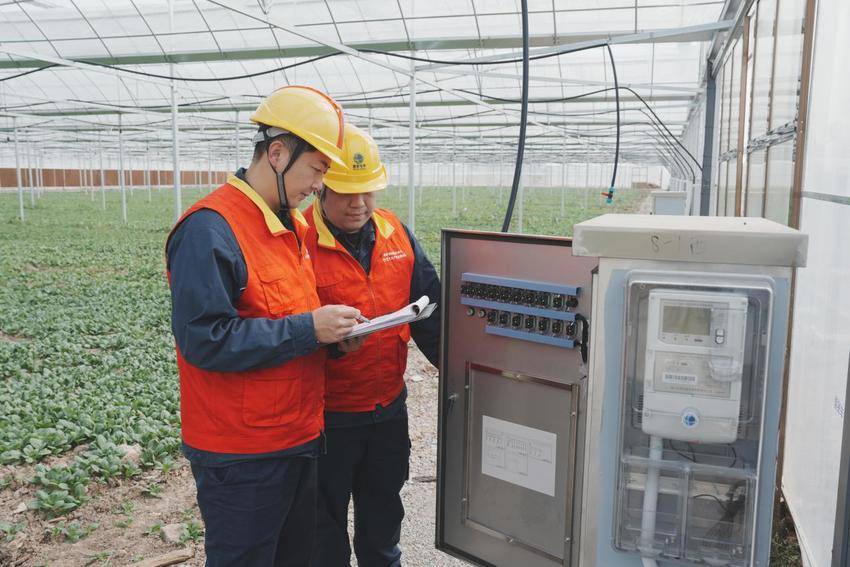 供电服务暖农心，护航大农仓提质增效.docx