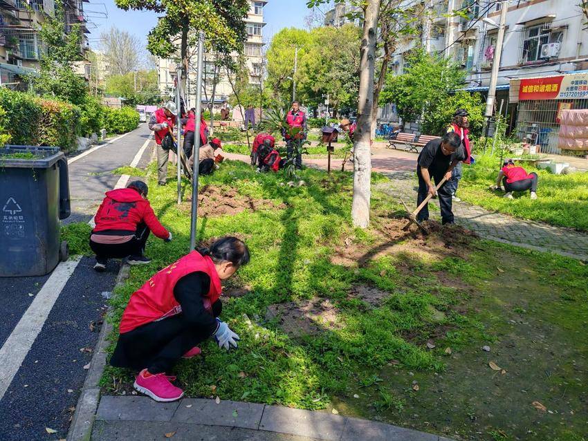 同心植绿共建家园：120社区以绿为媒，铸牢中华民族共同体意识.docx