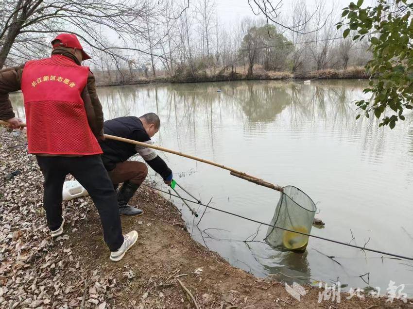 扮靓市容迎新春 洁净村湾暖归途.docx