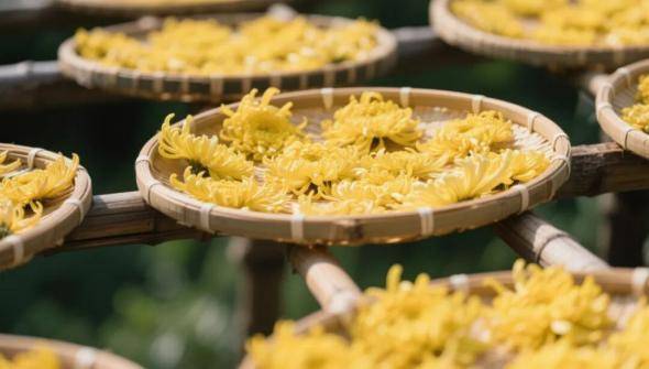 3-16 龟峰鹃红漫青山 一脉非遗耀古今.docx