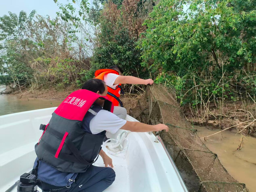 水位回落，责任不落——梁子湖风景区管委会常态化巡护湖岸线