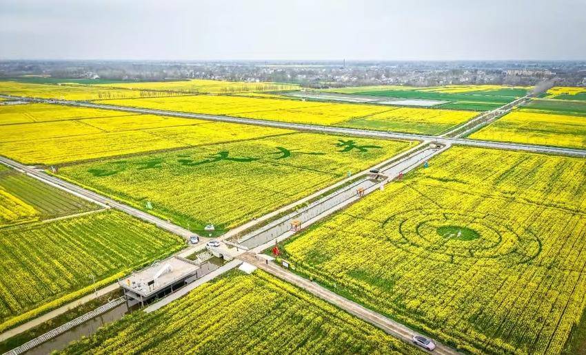 花漾三伏潭 富硒花海漫春光.docx