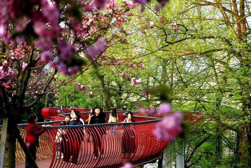 多彩的“网红桥”