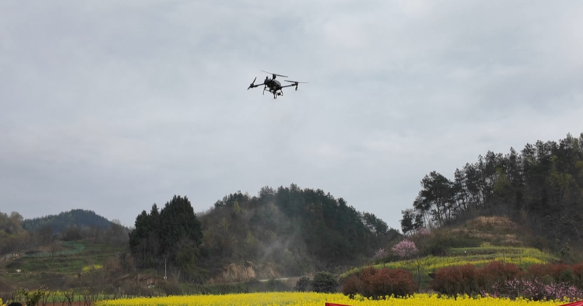 武当山特区开展2026年春季农业综合培训活动.docx