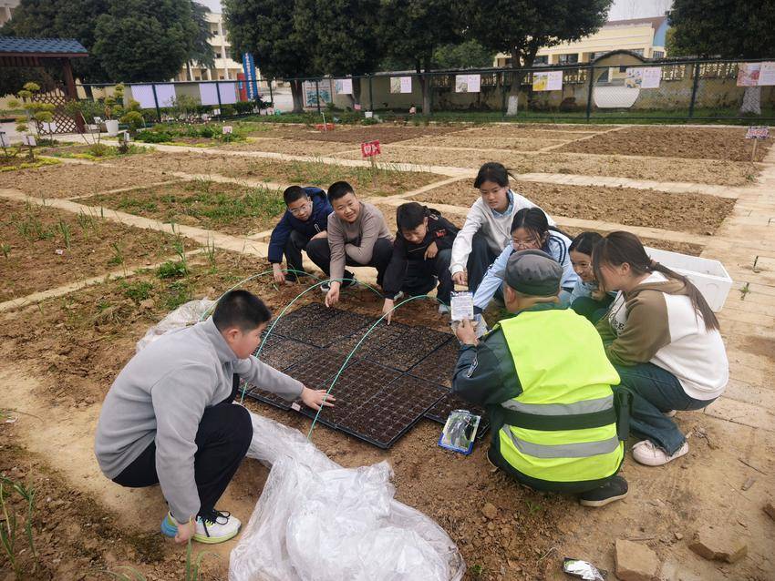 淅河第二小学光化校区开展太空种子培育实践活动.docx