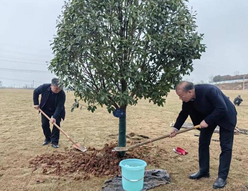 植此青绿映初心 共建美好新院区——孝感市中心医院开展2026年城市创建春季植树活动.docx