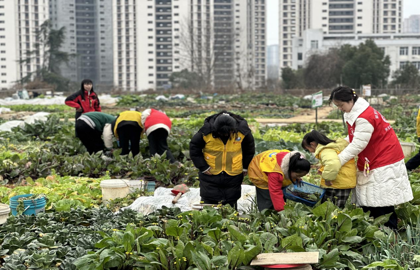 鹏程社区“童伴之家”开展“探秘盐水发电·乐享田园科普”主题活动.docx