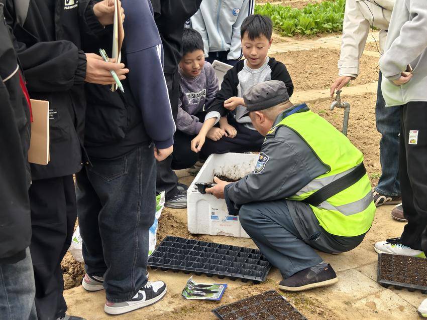 淅河第二小学光化校区开展太空种子培育实践活动.docx