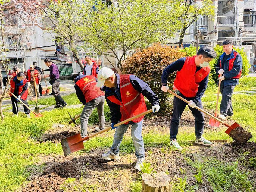 同心植绿共建家园：120社区以绿为媒，铸牢中华民族共同体意识.docx