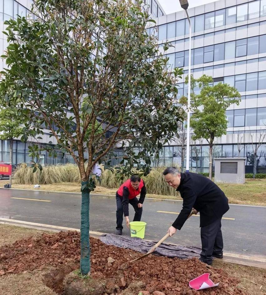植此青绿映初心 共建美好新院区——孝感市中心医院开展2026年城市创建春季植树活动.docx