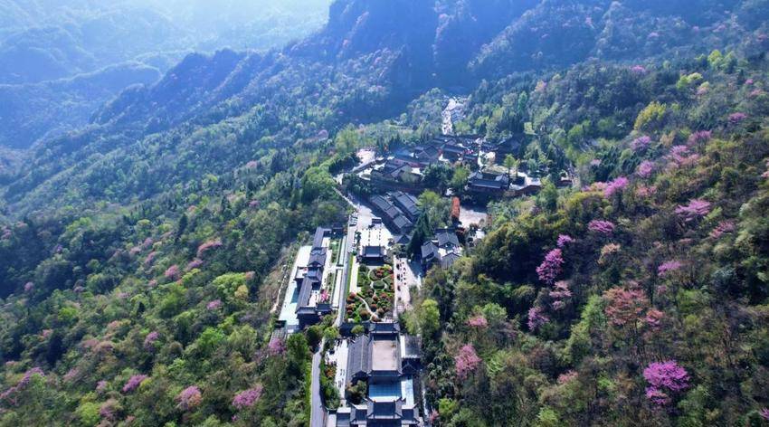 武当山风景区推出2026春季学生及家长专项优惠.docx