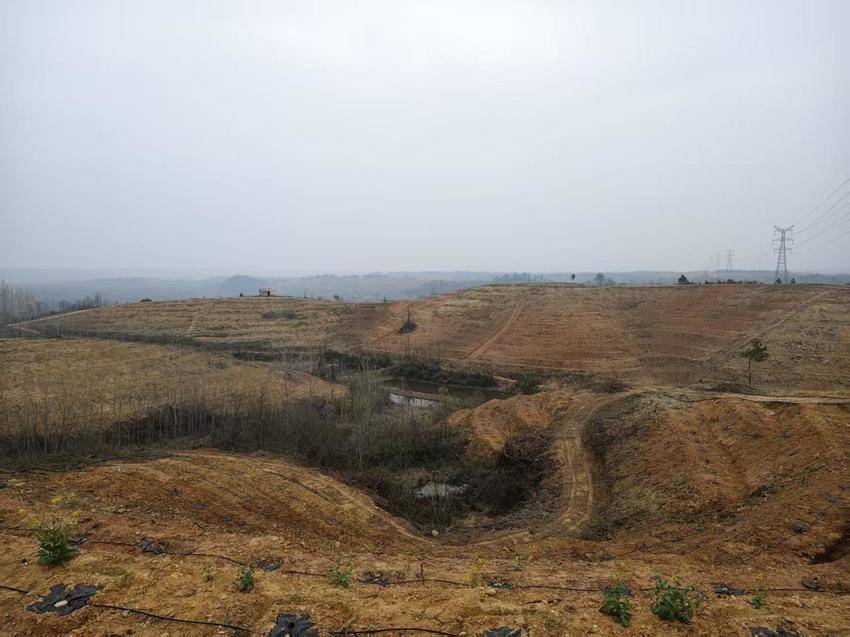 澴潭镇人大代表行动启幕--聚焦发展察实情，履职为民促实干.docx