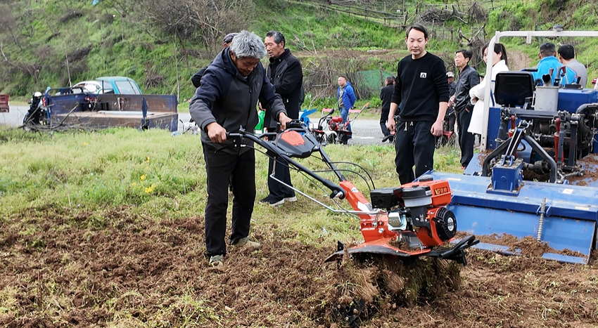 武当山特区开展2026年春季农业综合培训活动.docx