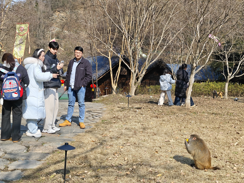 武当山逍遥谷：舞狮闹春意 猕猴乐悠然(1).docx