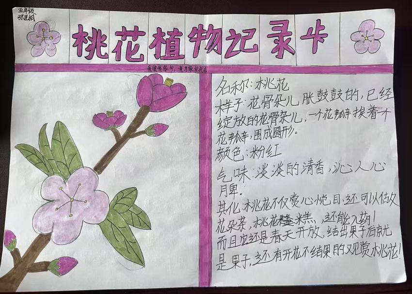 双减赋能添春色 桃花灼灼润童心.docx