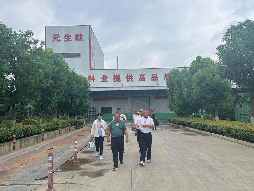聚焦民生实事 强化履职监督——郭河镇人大开展民生实事暨人居环境整治专项视察行动.docx