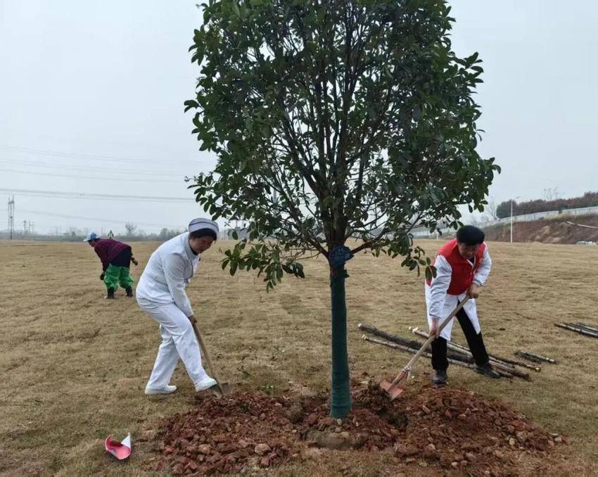 植此青绿映初心 共建美好新院区——孝感市中心医院开展2026年城市创建春季植树活动.docx