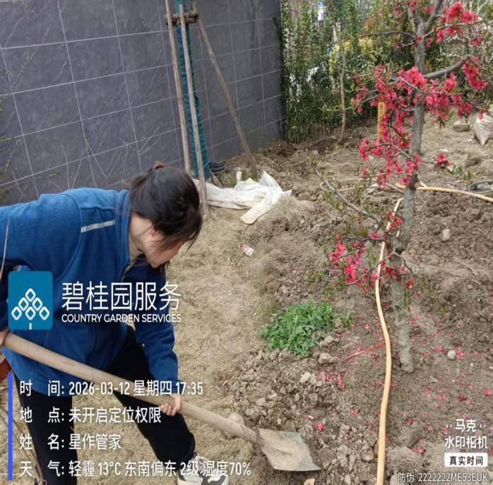 3.17植树添绿·美化家园 ——营盘路社区开展植树节主题活动.docx