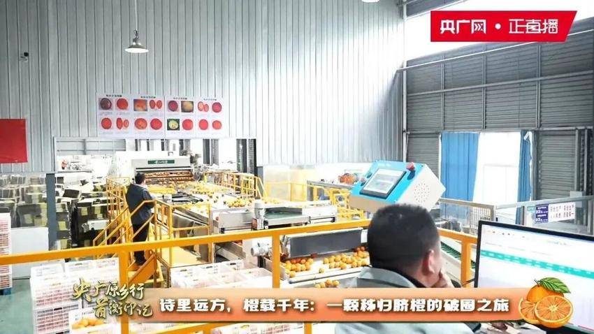 7.7 7%、3000多人、65万吨：首衡城的半年加速度.docx