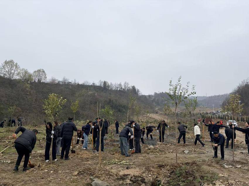武当山特区开展春季义务植树活动(1).docx