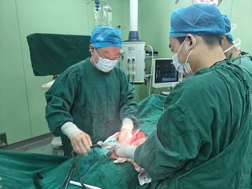 党建引领强根基 医联赋能启新程.docx